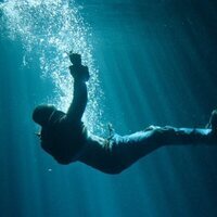 The Flood