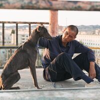 Black Dog