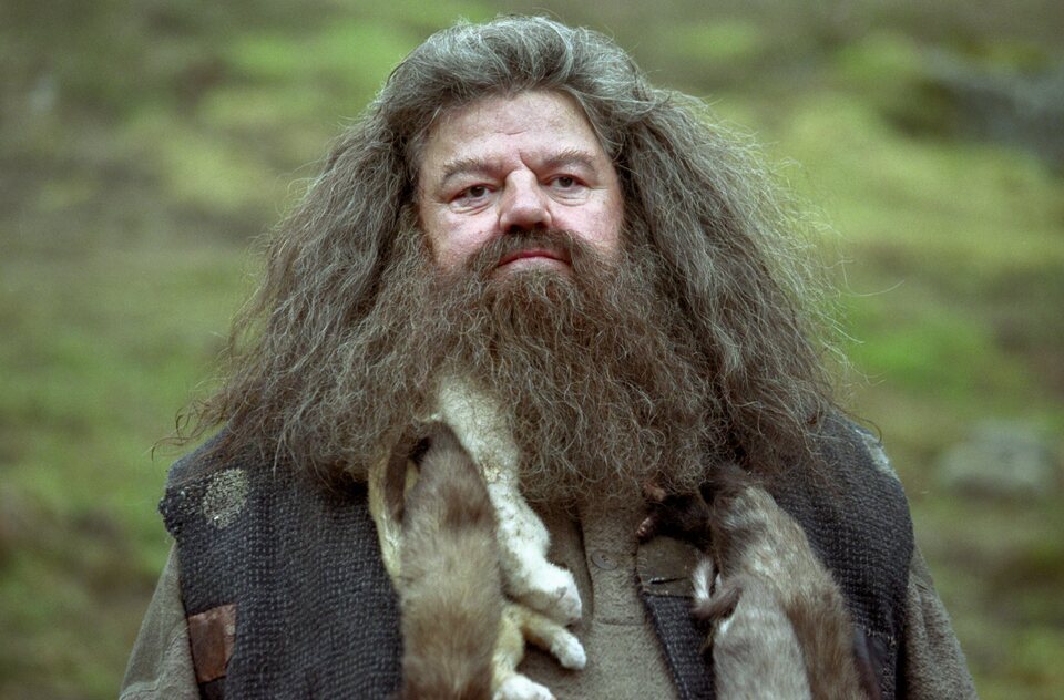 Así lucía el Hagrid de Robbie Coltrane
