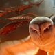 Ga'Hoole, la leyenda de los guardianes