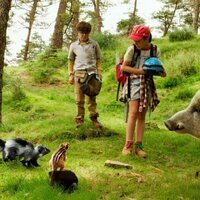 Campamento Garra de Oso