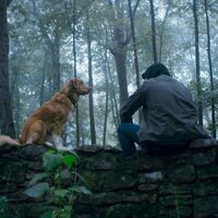Good Boy