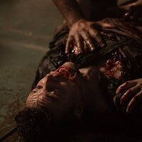 Tiburón blanco: La bestia del mar