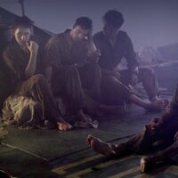 Tiburón blanco: La bestia del mar