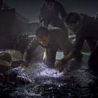 Tiburón blanco: La bestia del mar