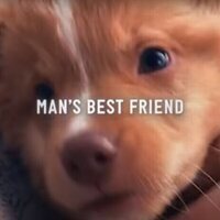 Good Boy