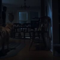 Good Boy