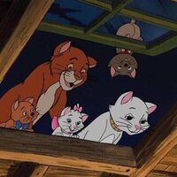 Los aristogatos
