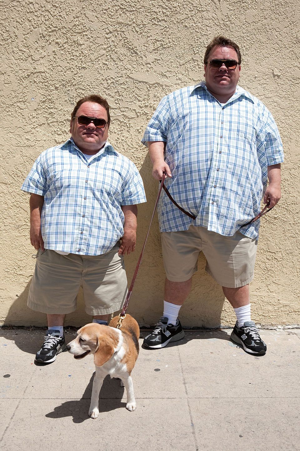 Jackass 3D