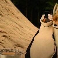 El código de los animales mágicos 3