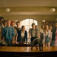 El código de los animales mágicos 3