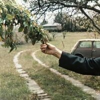 Dolores Ibárruri. Pasionaria