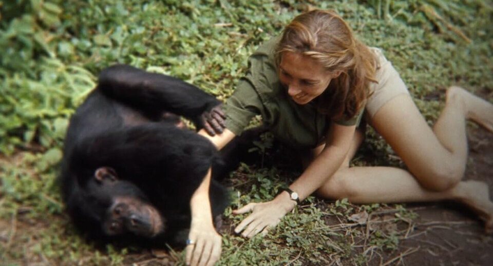 Jane Goodall en 'Jane'