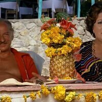 El alegre divorciado