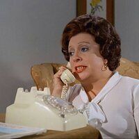 El alegre divorciado