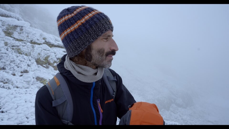 Hasta que me quede sin voz