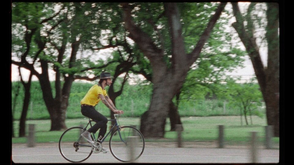 Hasta que me quede sin voz