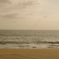 Primer tráiler de 'Send Help (Enviad ayuda)', el nuevo thriller de supervivencia de Sam Raimi