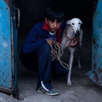 Ciudad sin sueño