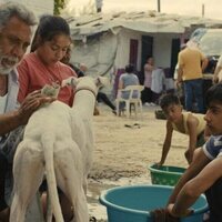 Ciudad sin sueño