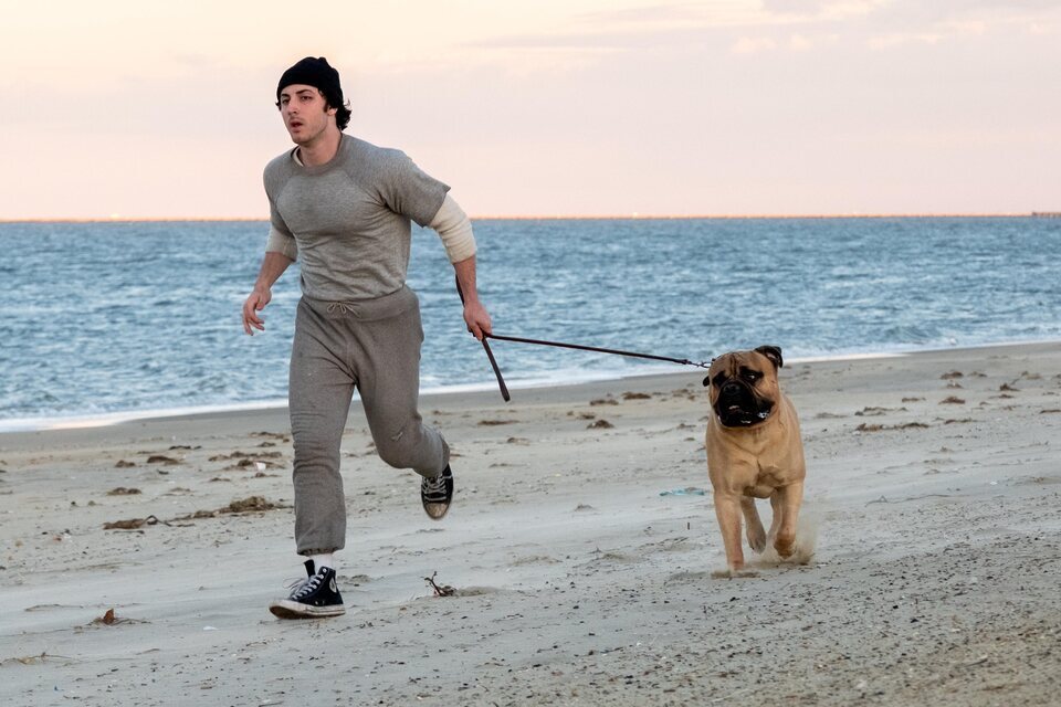 Primera imagen de Anthony Ippolito como Sylvester Stallone