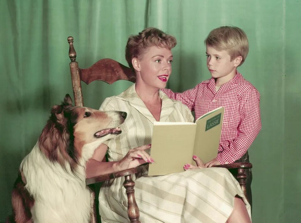 June Lockhart en 'Lassie'