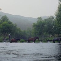La sabana y la montaña
