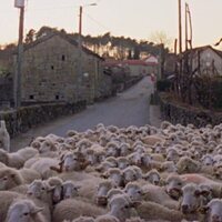 La sabana y la montaña