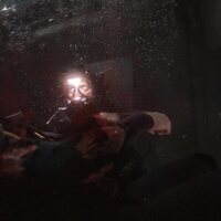 El último depredador