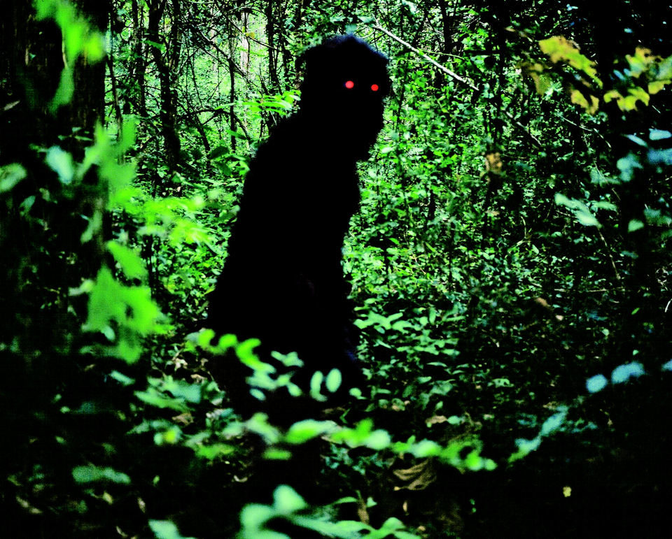 Tío Boonmee recuerda sus vidas pasadas