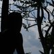 Tío Boonmee recuerda sus vidas pasadas