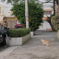 Borrón y Vida Nueva