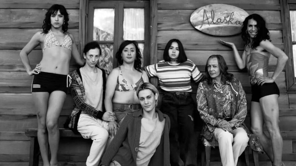 La misteriosa mirada del flamenco