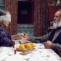 La misteriosa mirada del flamenco