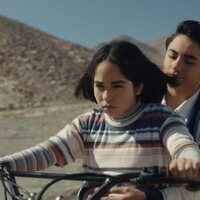 La misteriosa mirada del flamenco