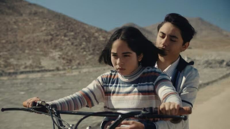 La misteriosa mirada del flamenco