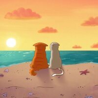 Tommy Tom: En busca del peluche perdido