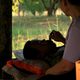 Tío Boonmee recuerda sus vidas pasadas