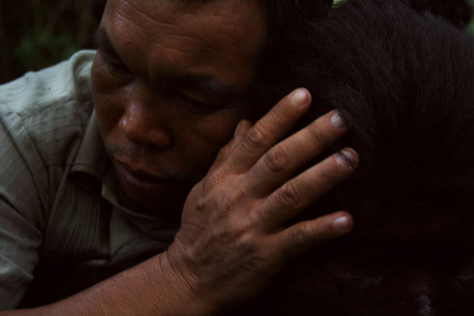 Tío Boonmee recuerda sus vidas pasadas