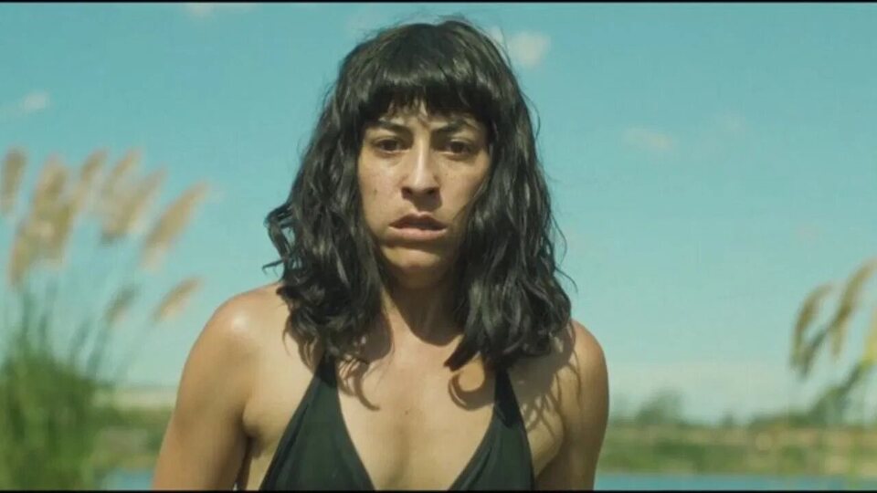 La misteriosa mirada del flamenco