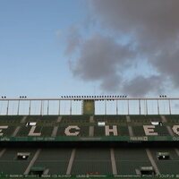 Corazón franjiverde