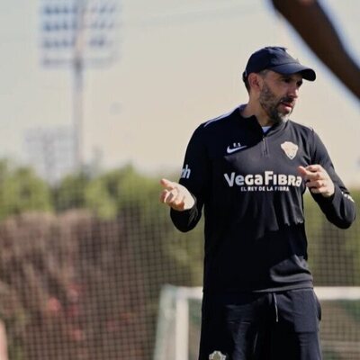 Corazón franjiverde