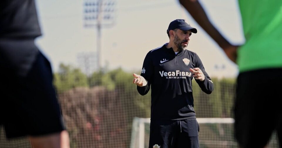 Corazón franjiverde