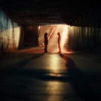 Un mundo frágil y maravilloso