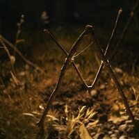 La maldición de Shelby Oaks