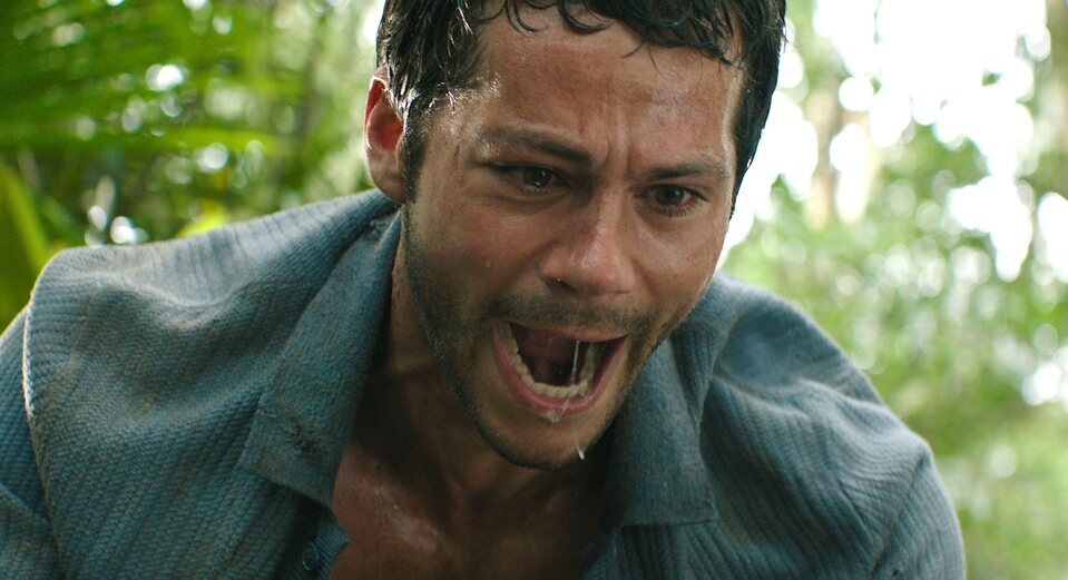 Dylan O'Brien lo pasa fatal... pero se lo merece todo