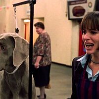 Very Important Perros