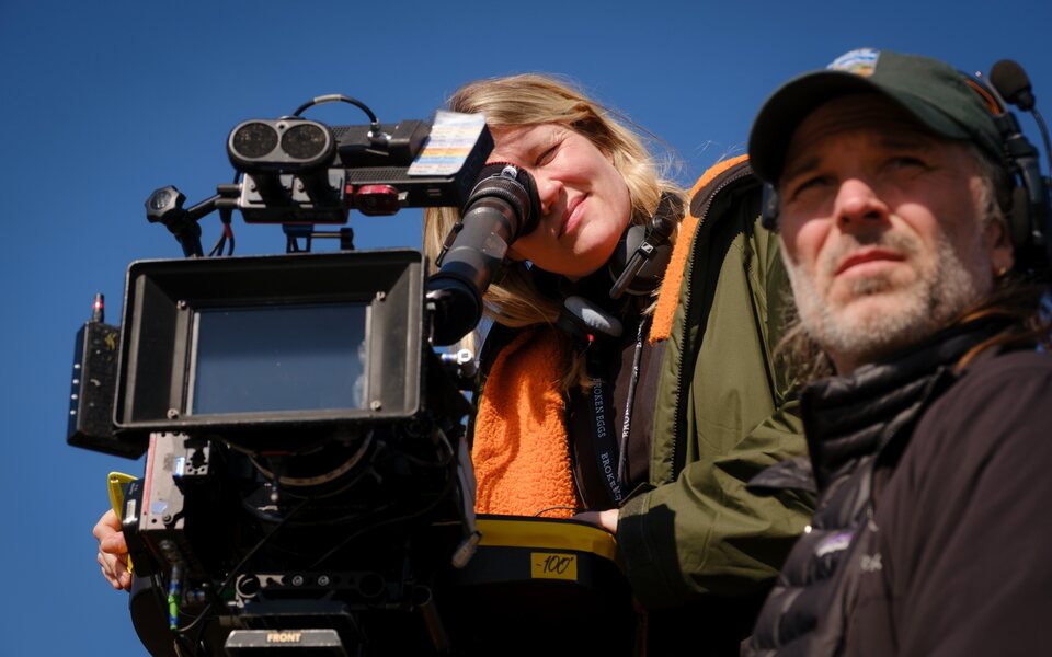 "Cumbres borrascosas"