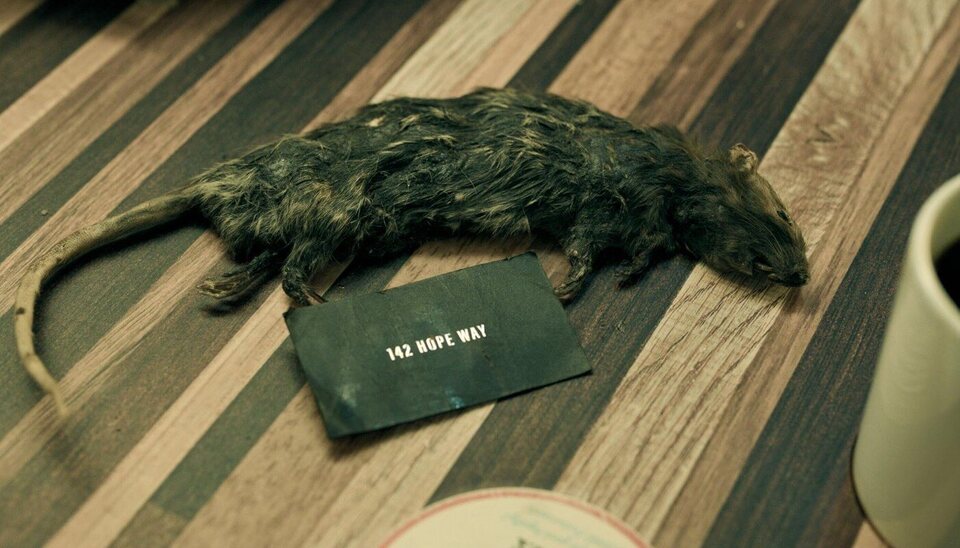 Buena suerte, Diviértete, No mueras