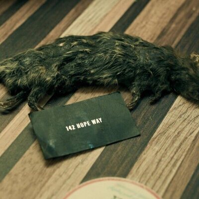 Buena suerte, Diviértete, No mueras